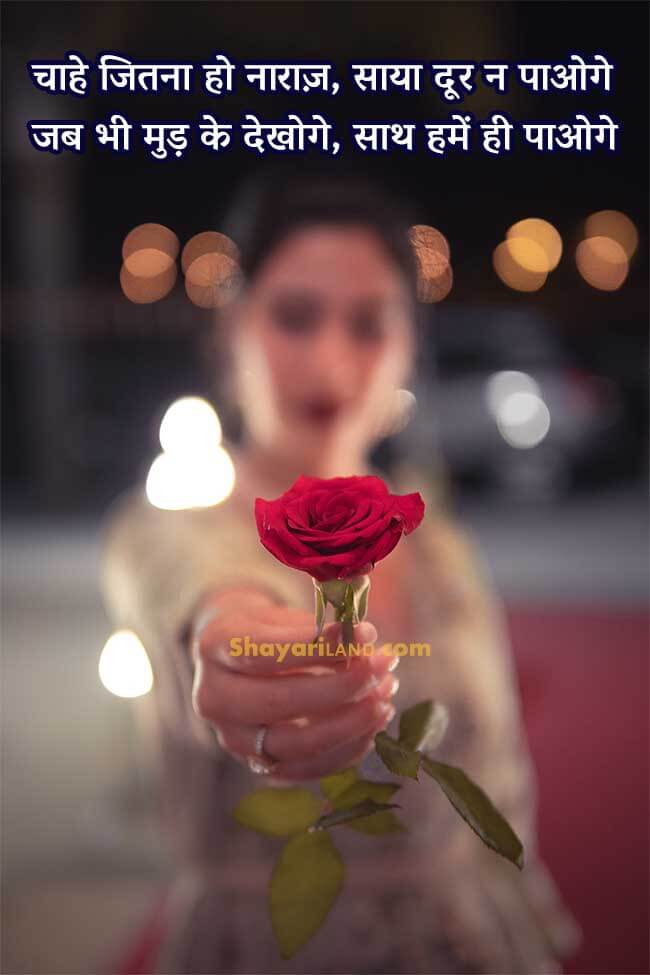 Love Sorry Shayari image